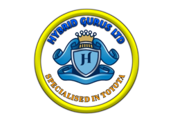 Hybrid Gurus